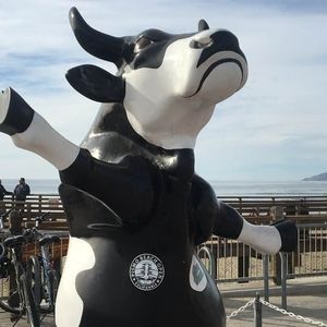 Meet your Posher, Ralph